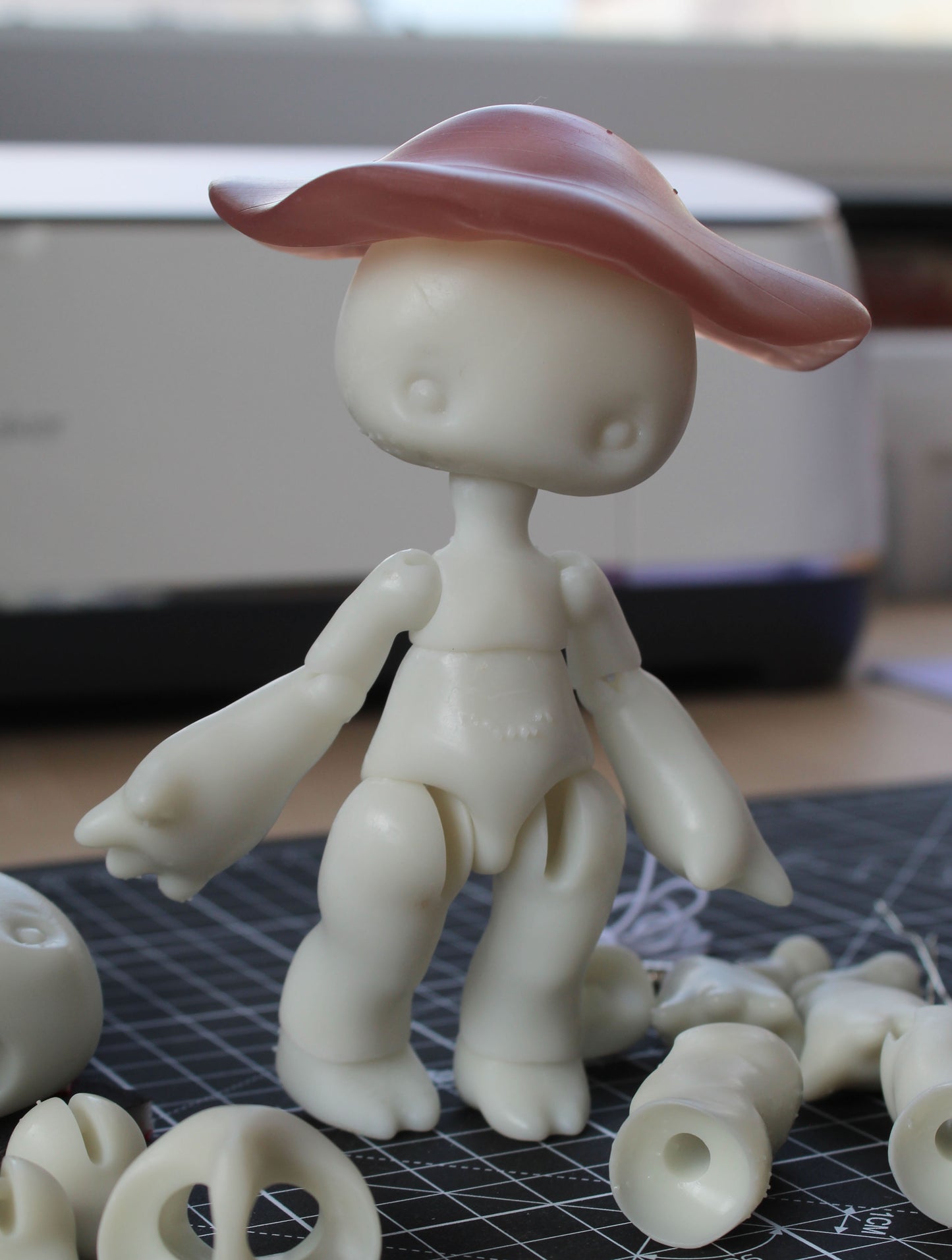 Pocket Blewit (13.5cm)