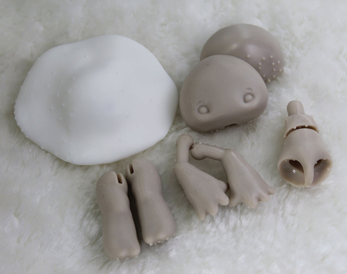 Baby Blewit Kit