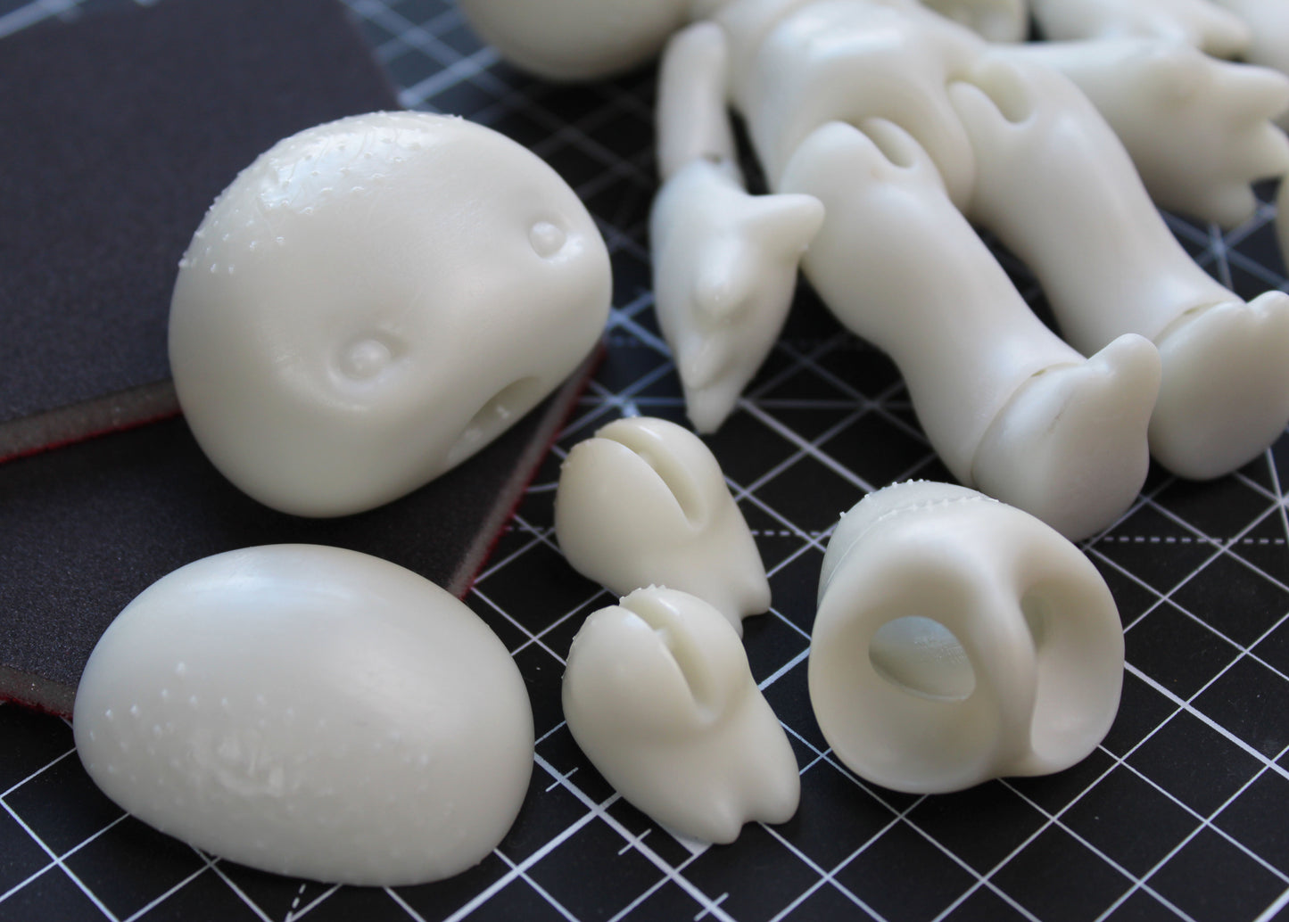 Pocket Blewit (13.5cm)