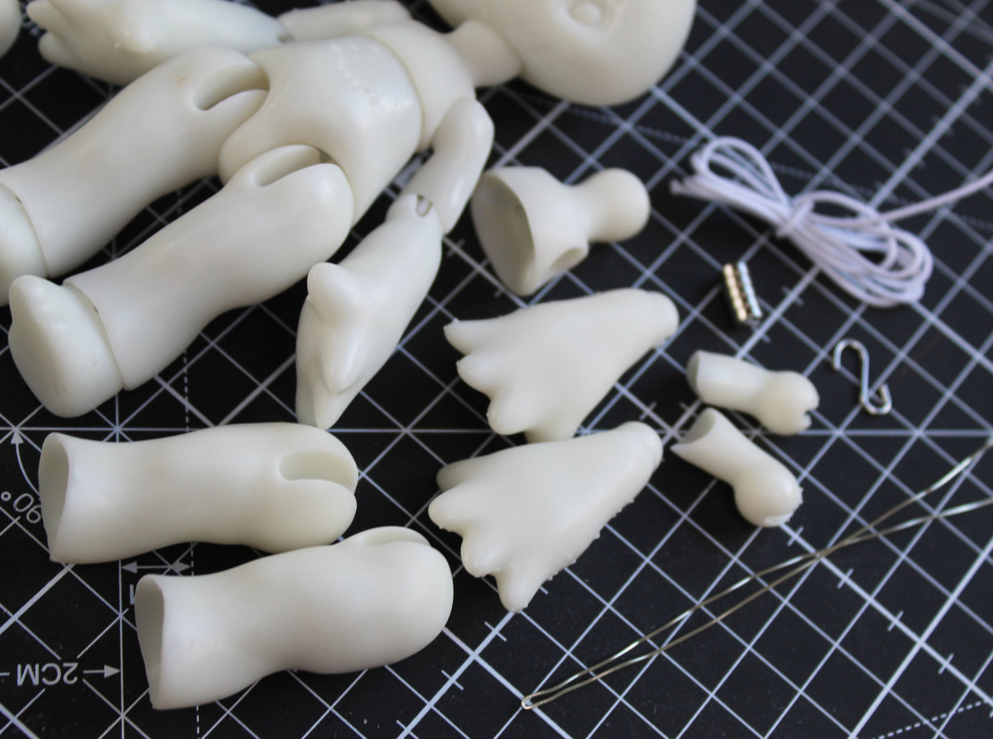 Pocket Blewit (13.5cm)