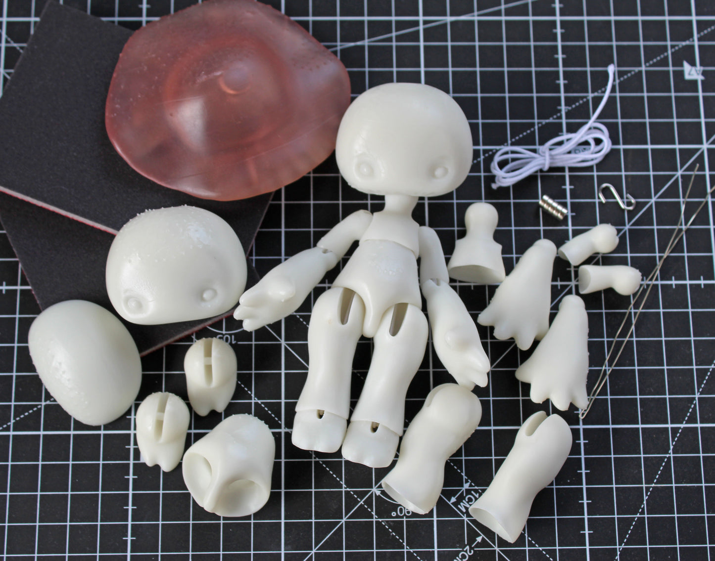 Pocket Blewit (13.5cm)